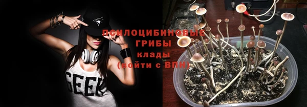 дурь Майский