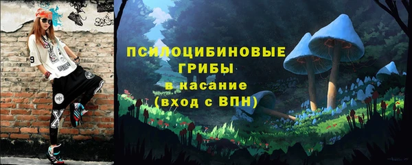 стаф Мегион