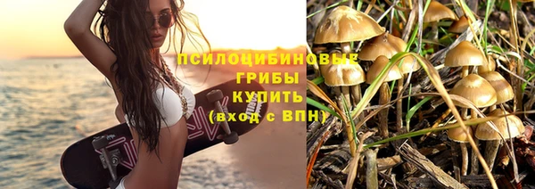 a pvp Магадан