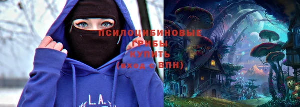 дурь Майский