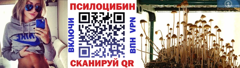Псилоцибиновые грибы GOLDEN TEACHER  Купить где  Сафоново 